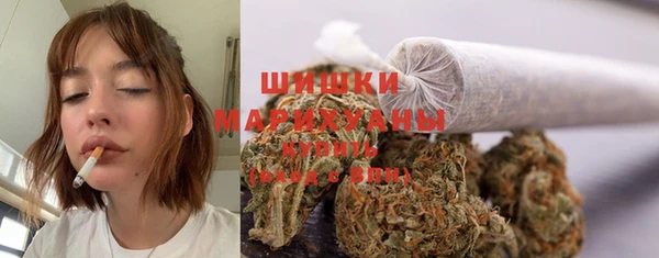 твердый Богданович