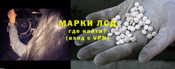твердый Богданович