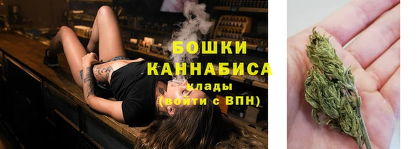 амф Бронницы