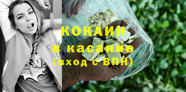 твердый Богданович