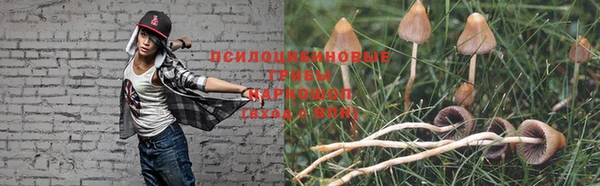каннабис Бородино