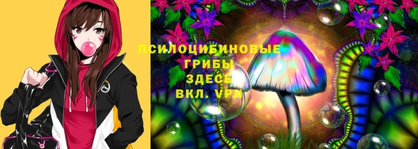 герыч Богородск