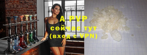 твердый Богданович